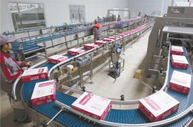 九朵玫瑰透明工厂与科技产业园参观活动开启，引领产业技术革新与转让新浪潮